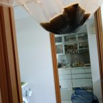 RV Suites photo review