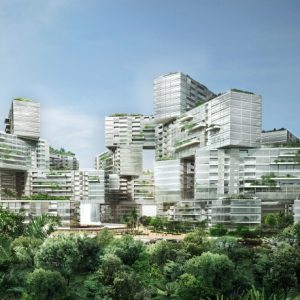 The Interlace
