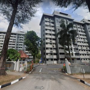 Parkview Mansions (Enbloc)