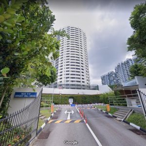 Thomson View Condominium (Enbloc)