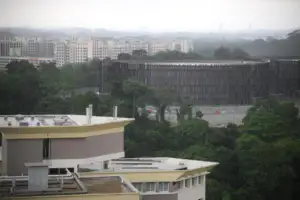 Land planned for housing in Tengah converted to park after consulting nature groups: HDB